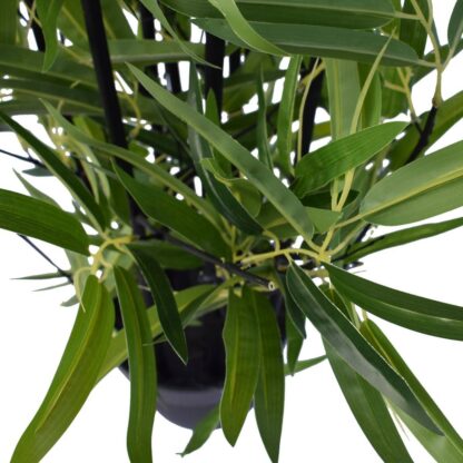 Artificial Bamboo Black Bamboo 160cm Real Touch Leaves https://clickshop.com.au/product/artificial-bamboo-black-bamboo-160cm-real-touch-leaves/