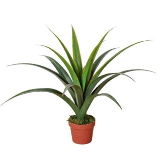 Artificial Dracaena Plants 80cm https://clickshop.com.au/product/artificial-dracaena-plants-80cm/