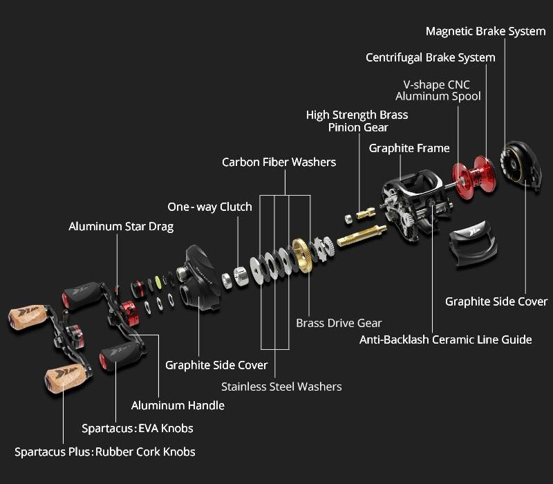 Baitcasting Reel