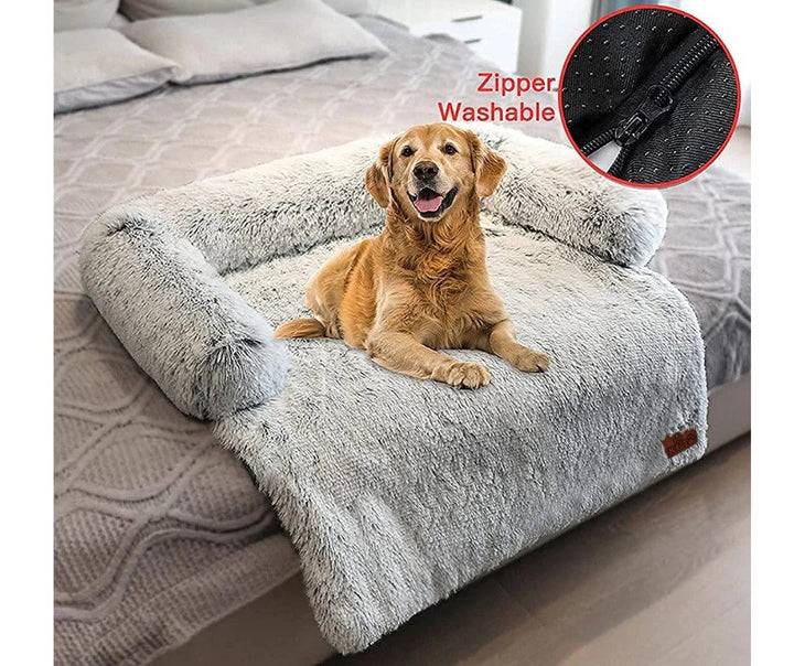 pet furniture online